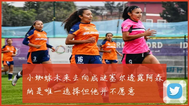 小蜘蛛未来去向成谜塞尔透露阿森纳是唯一选择但他并不愿意