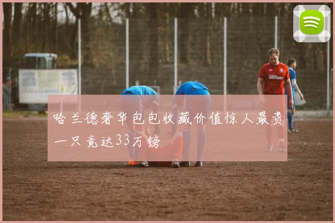 哈兰德奢华包包收藏价值惊人最贵一只竟达33万镑